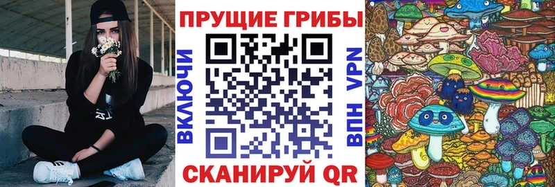 Галлюциногенные грибы Cubensis  Афипский 